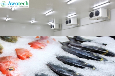 Cold Storage For Fisheries and Sea Food